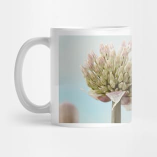 Allium karataviense   AGM  Kara Tau garlic Mug